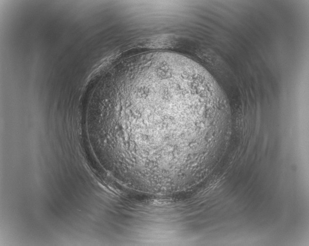 X0000056030303200509092212