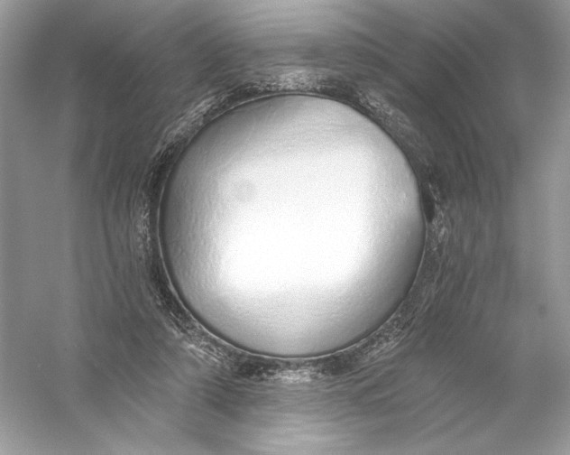 X0000056030306200509092212