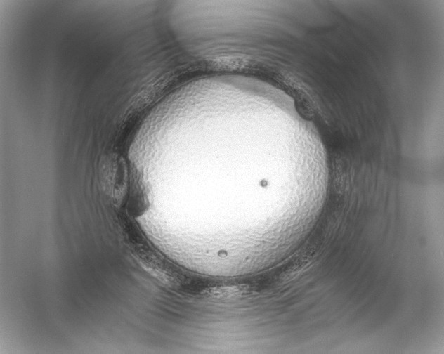 X0000056030307200509092212