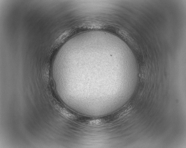 X0000056030309200509092212