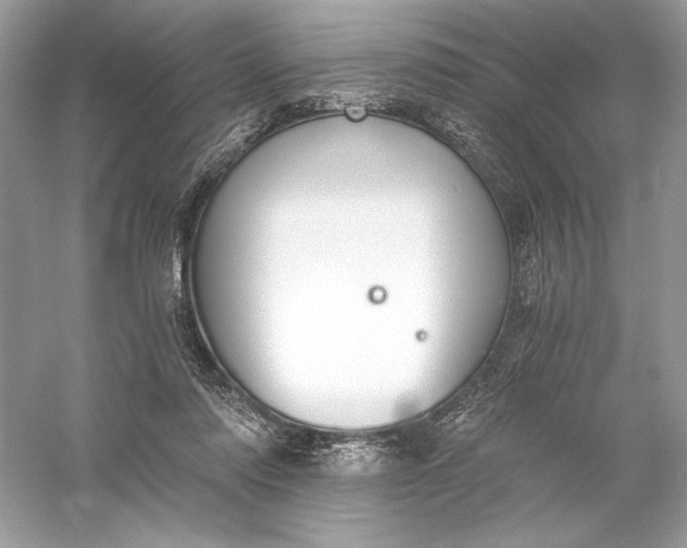 X0000056030310200509092212