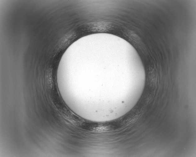 X0000056030312200509092212