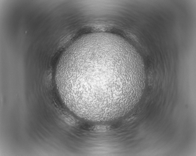 X0000056030314200509092212