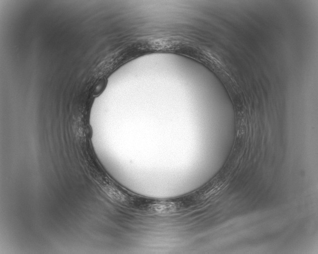 X0000056030317200509092212