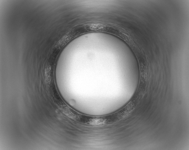 X0000056030319200509092212