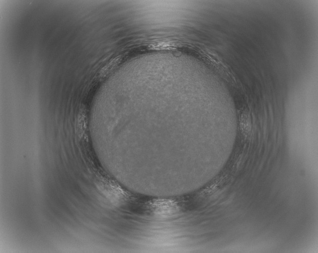 X0000056030322200509092212