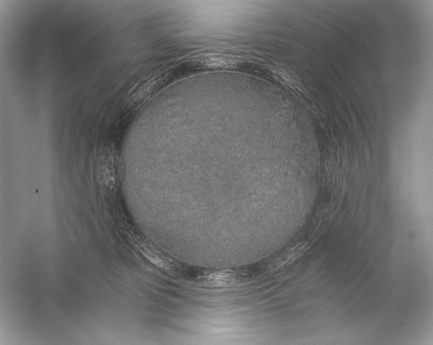 X0000056030325200509092212