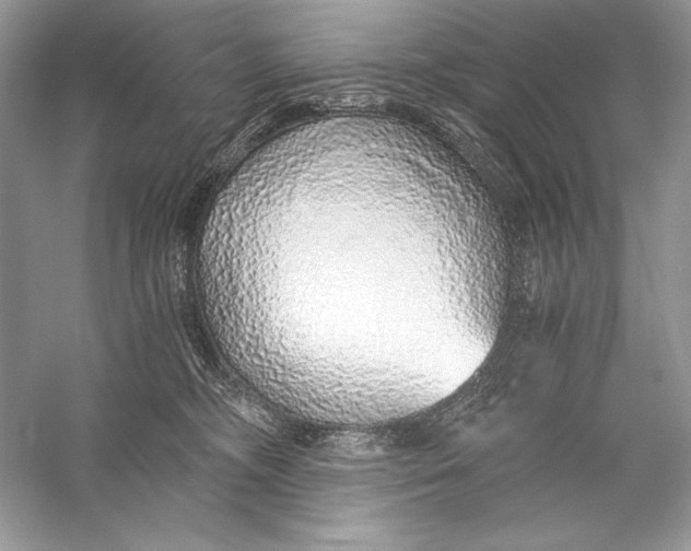 X0000056030326200509092212