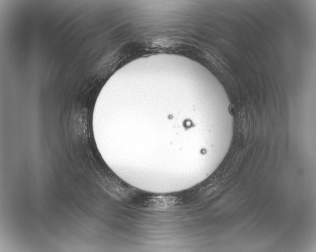 X0000056030328200509092212