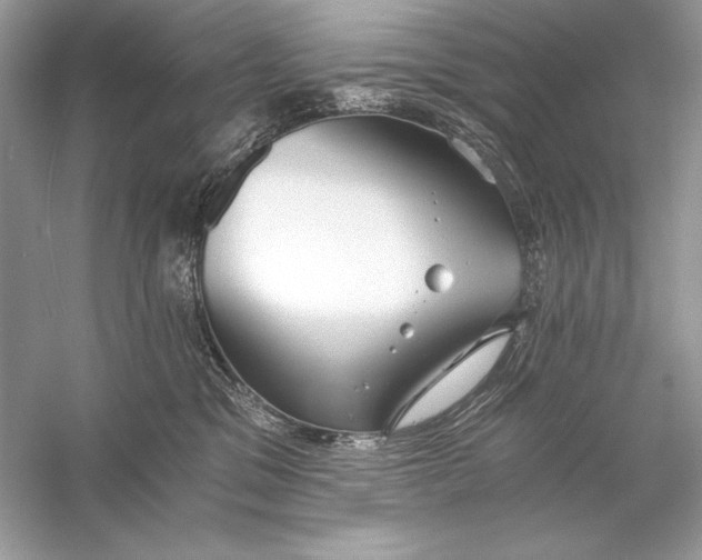 X0000056030329200509092212