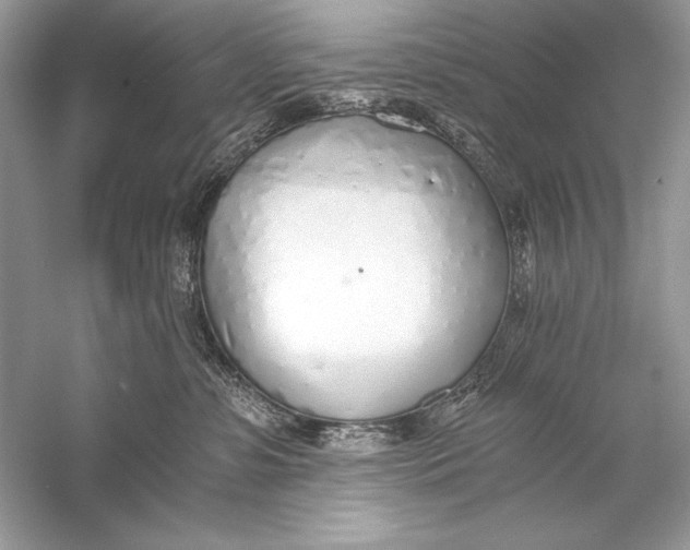 X0000056030331200509092212