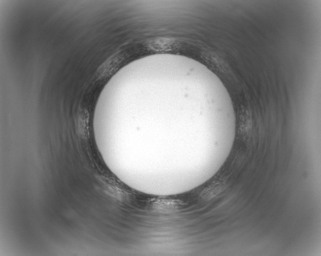 X0000056030332200509092212