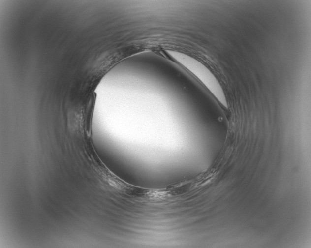 X0000056030333200509092212