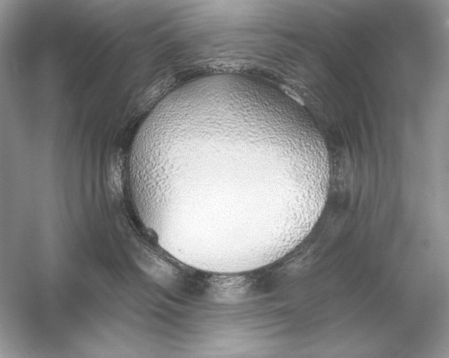 X0000056030334200509092211