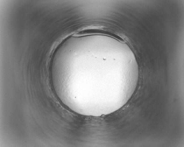 X0000056030337200509092211