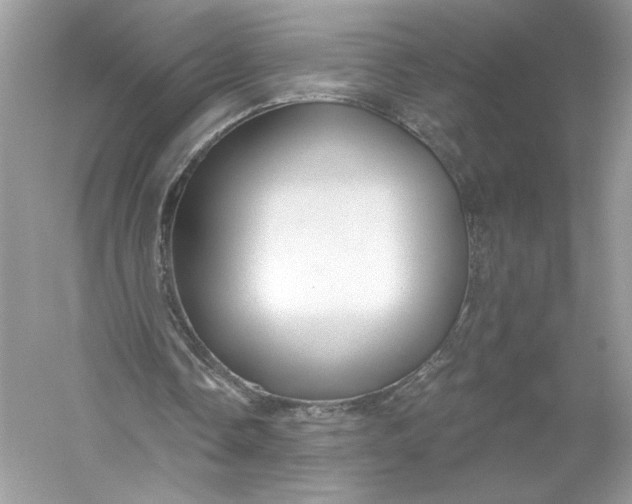 X0000056030338200509092211