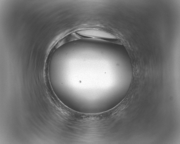 X0000056030340200509092211