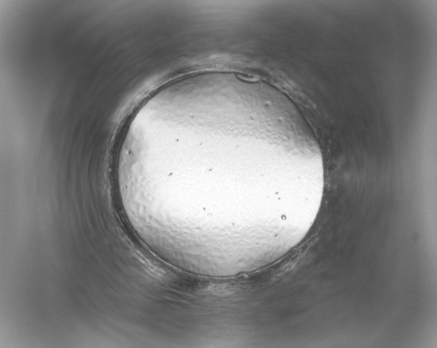 X0000056030341200509092211