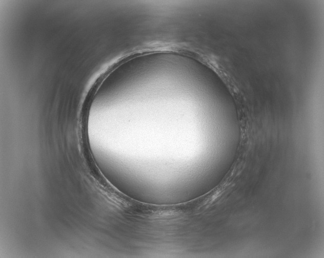 X0000056030342200509092211