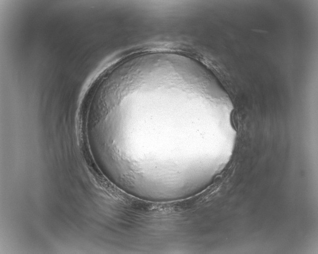 X0000056030343200509092211