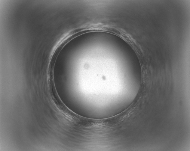 X0000056030344200509092211