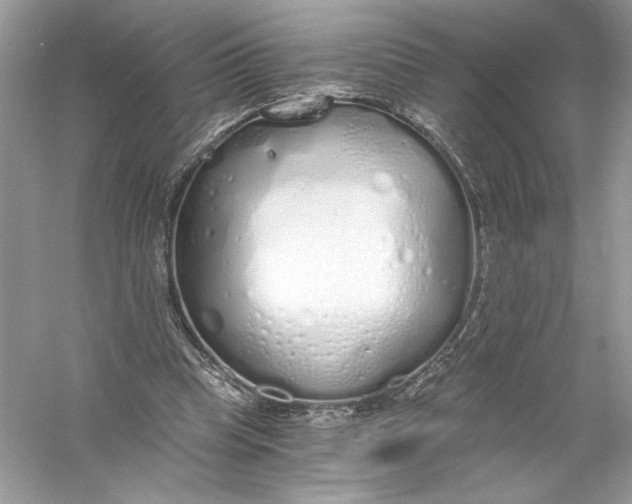 X0000056030345200509092211