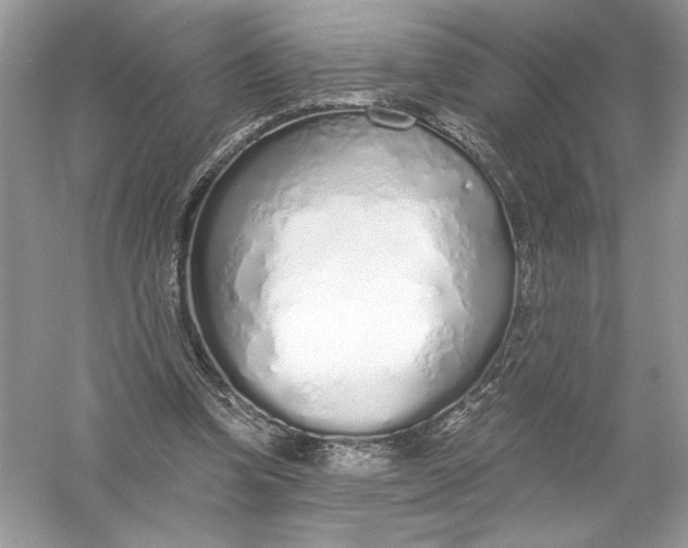 X0000056030346200509092211