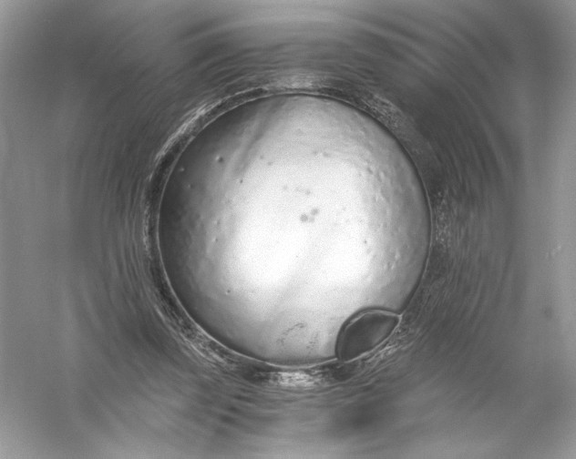 X0000056030347200509092211