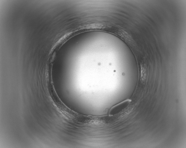 X0000056030348200509092211