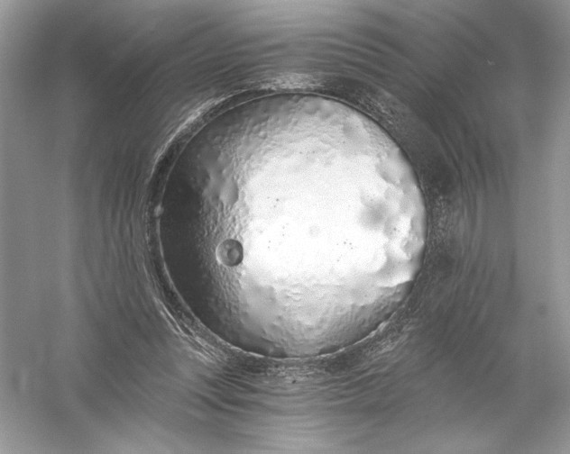 X0000056030351200509092211