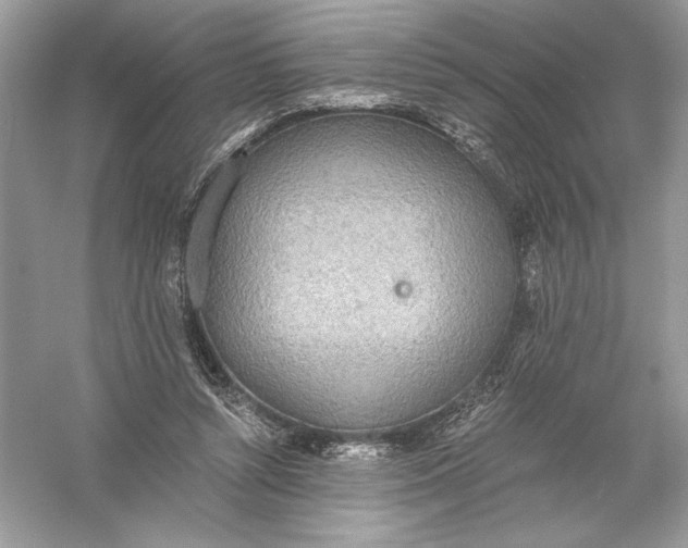 X0000056030352200509092211