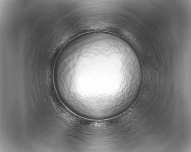 X0000056030354200509092211