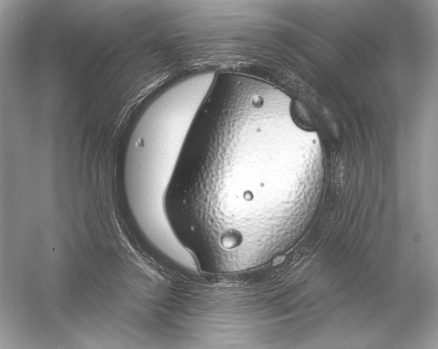 X0000056030356200509092211