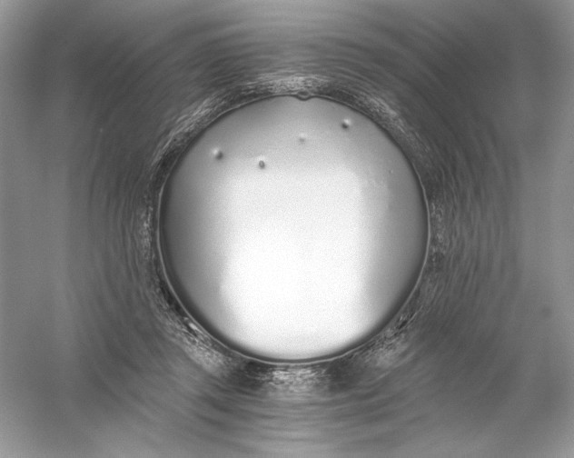 X0000056030357200509092211