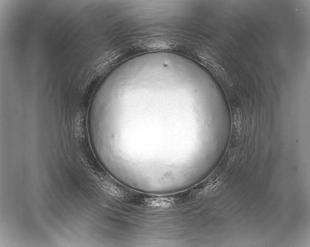 X0000056030359200509092211