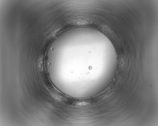 X0000056030360200509092211