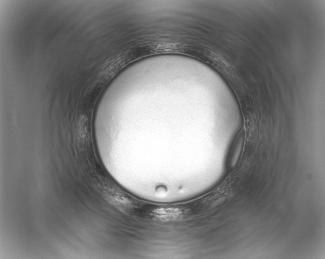 X0000056030361200509092211