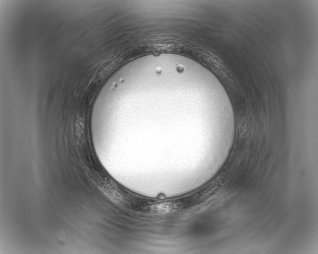 X0000056030365200509092211