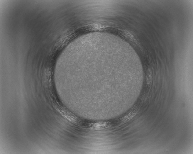 X0000056030366200509092211