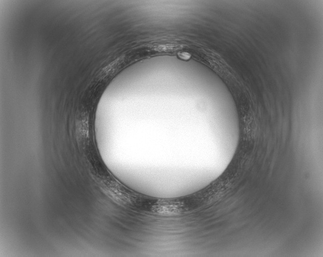 X0000056030368200509092211