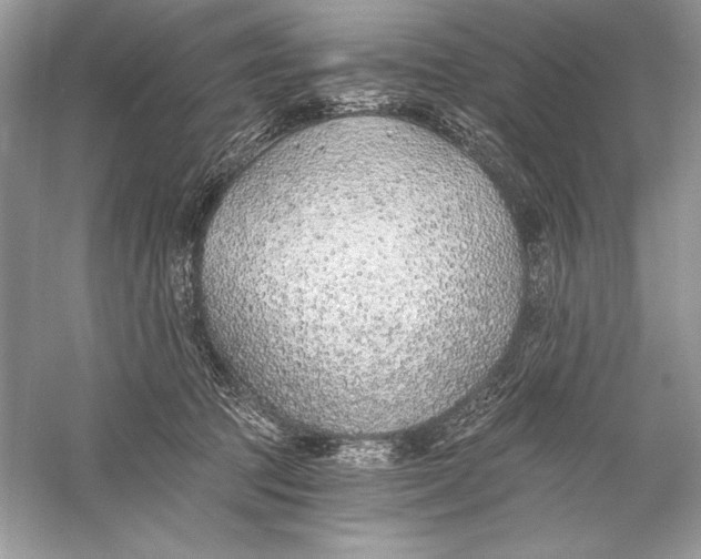 X0000056030369200509092211