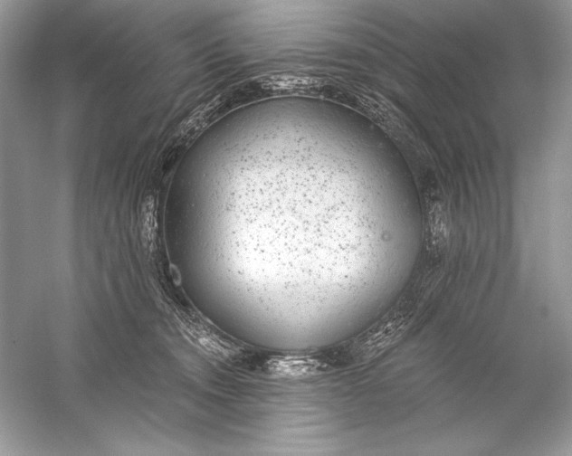 X0000056030372200509092211