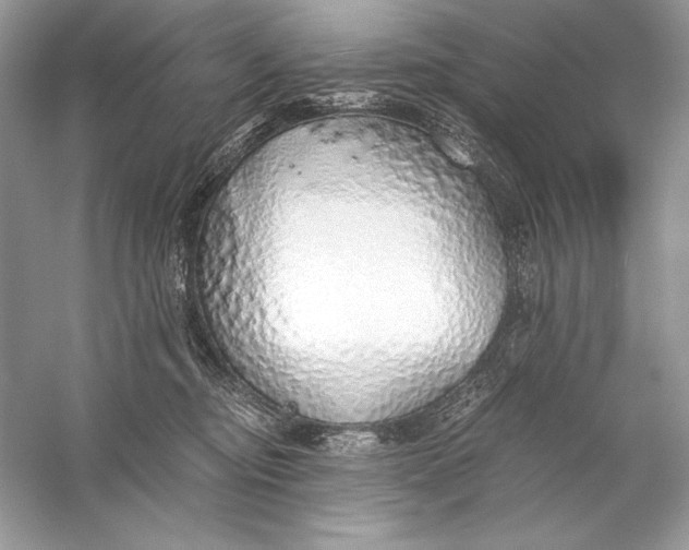 X0000056030374200509092211