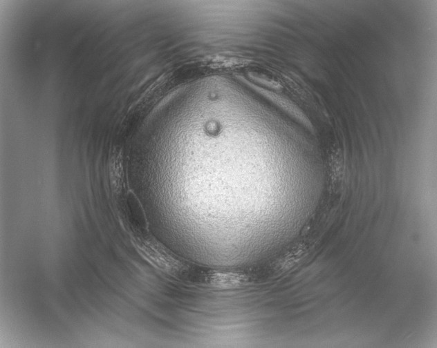 X0000056030376200509092211