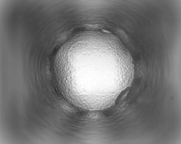 X0000056030377200509092211