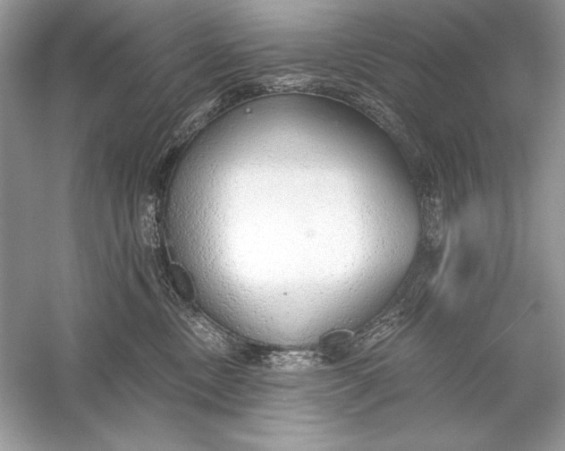 X0000056030378200509092211