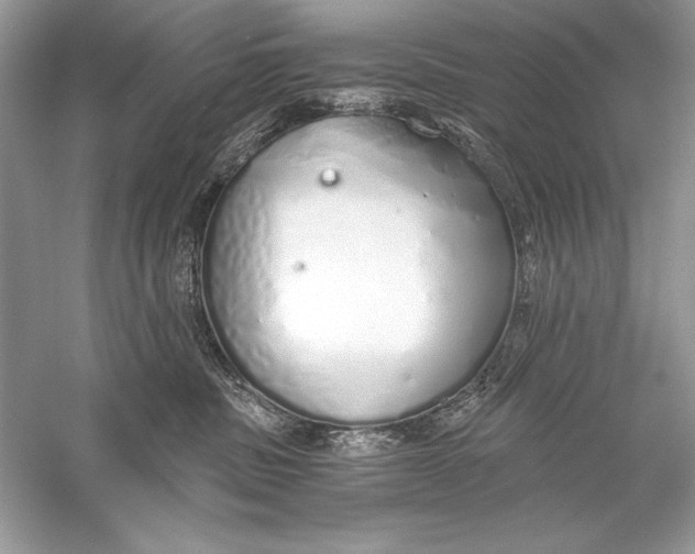 X0000056030379200509092211