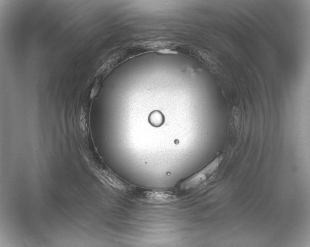 X0000056030380200509092211