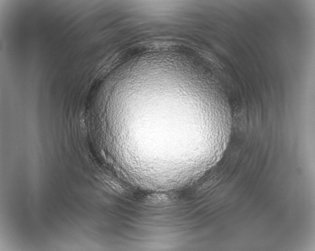 X0000056030381200509092211