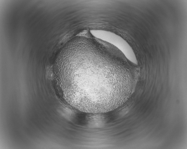 X0000056030383200509092211